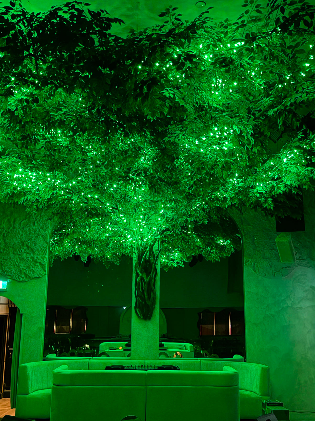Corporate lighting at ALIA